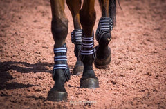 Equifit D-Teq Hind Boots