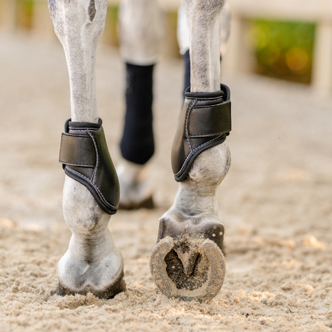 Equifit // Equifit Young Horse Hind Boot
