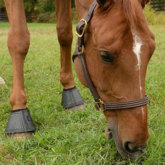 Equifit Essential Bell Boots with SheepsWool Top